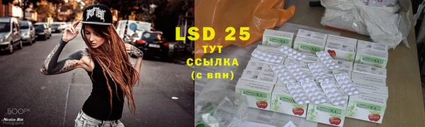 PSILOCYBIN Волоколамск