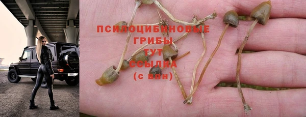 прущая мука Волосово