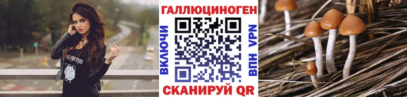 сайты даркнета телеграм Кадников Галлюциногенные грибы ЛСД